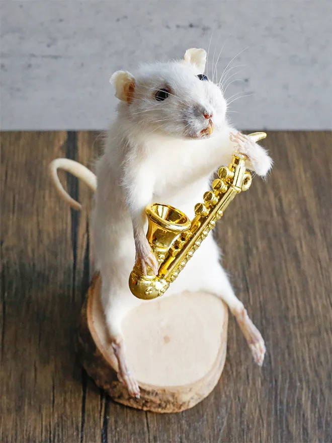 D'excentriques taxidermies de souris les excentriques taxidermies de souris joue du es-excentriques-taxidermies-de-souris-joue-du-saxophone
