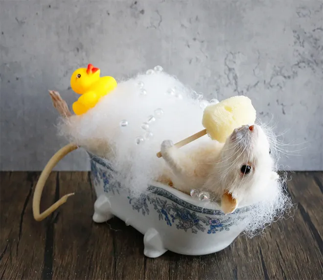D'excentriques taxidermies de souris les excentriques taxidermies de souris prend son bain les-excentriques-taxidermies-de-souris-prend-son-bain