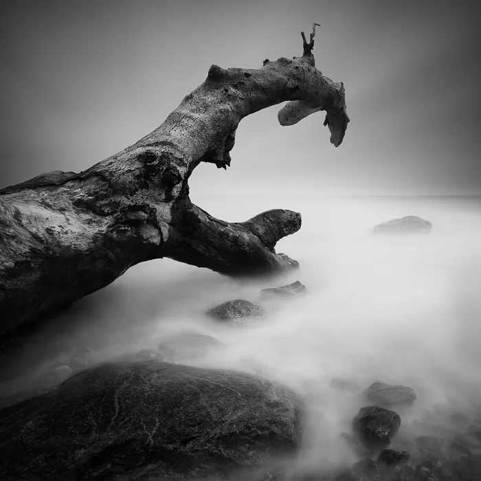 Une vision minimaliste et monochrome de la côte de la mer Baltique vision minimaliste et monochrome de la cote de la mer Baltique allemagne daniel rericha 5 vision-minimaliste-et-monochrome-de-la-cote-de-la-mer-Baltique-allemagne-daniel-rericha-5