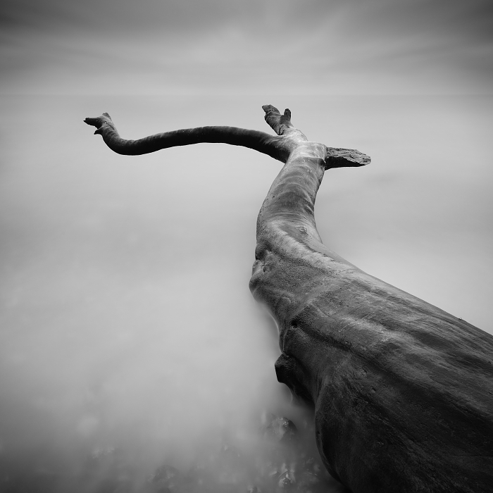 Une vision minimaliste et monochrome de la côte de la mer Baltique vision minimaliste et monochrome de la cote de la mer Baltique allemagne daniel rericha 8 vision-minimaliste-et-monochrome-de-la-cote-de-la-mer-Baltique-allemagne-daniel-rericha-8