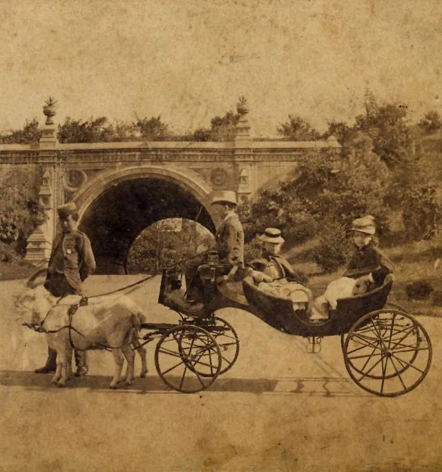 15 photos rares des chutes du Niagara et de New York dans les années 1870 15 photos rares des chutes du niagara et de new york dans les annees 1870 15 brooklyn 15-photos-rares-des-chutes-du-niagara-et-de-new-york-dans-les-annees-1870-15-brooklyn