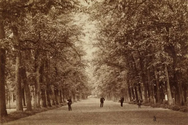 50 photos des rues de Alkmaar en Hollande à la fin du 19ème siècle 50 photos des rues de Alkmaar en Hollande a la fin du 19eme siecle 13 50-photos-des-rues-de-Alkmaar-en-Hollande-a-la-fin-du-19eme-siecle-13