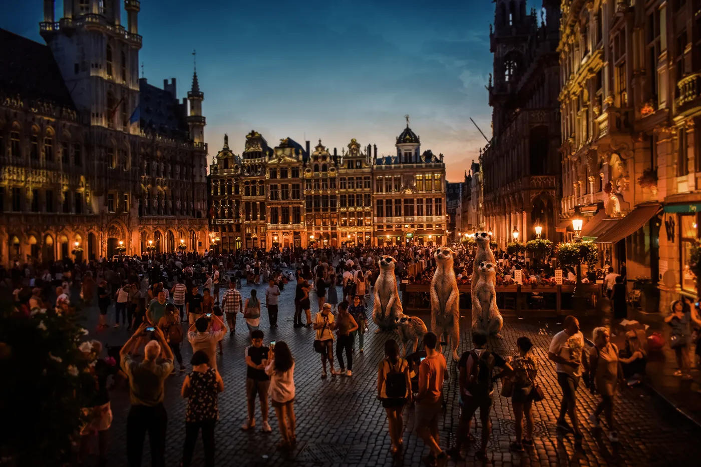 Ambiance surréaliste dans les créations de Carlos Jiménez Varela Ambiance surrealiste dans les creations de Carlos Jimenez Varela nocturnal animals 8 suricate Ambiance-surrealiste-dans-les-creations-de-Carlos-Jimenez-Varela-nocturnal-animals-8-suricate