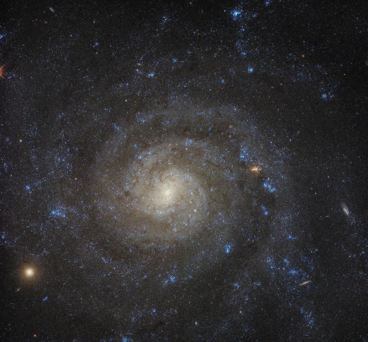De fabuleuses images de galaxies en spirales prises par le télescope James Webb De fabuleuses images de galaxies en spirales prises par le telescope James Webb ic5332 hubble De-fabuleuses-images-de-galaxies-en-spirales-prises-par-le-telescope-James-Webb-ic5332-hubble