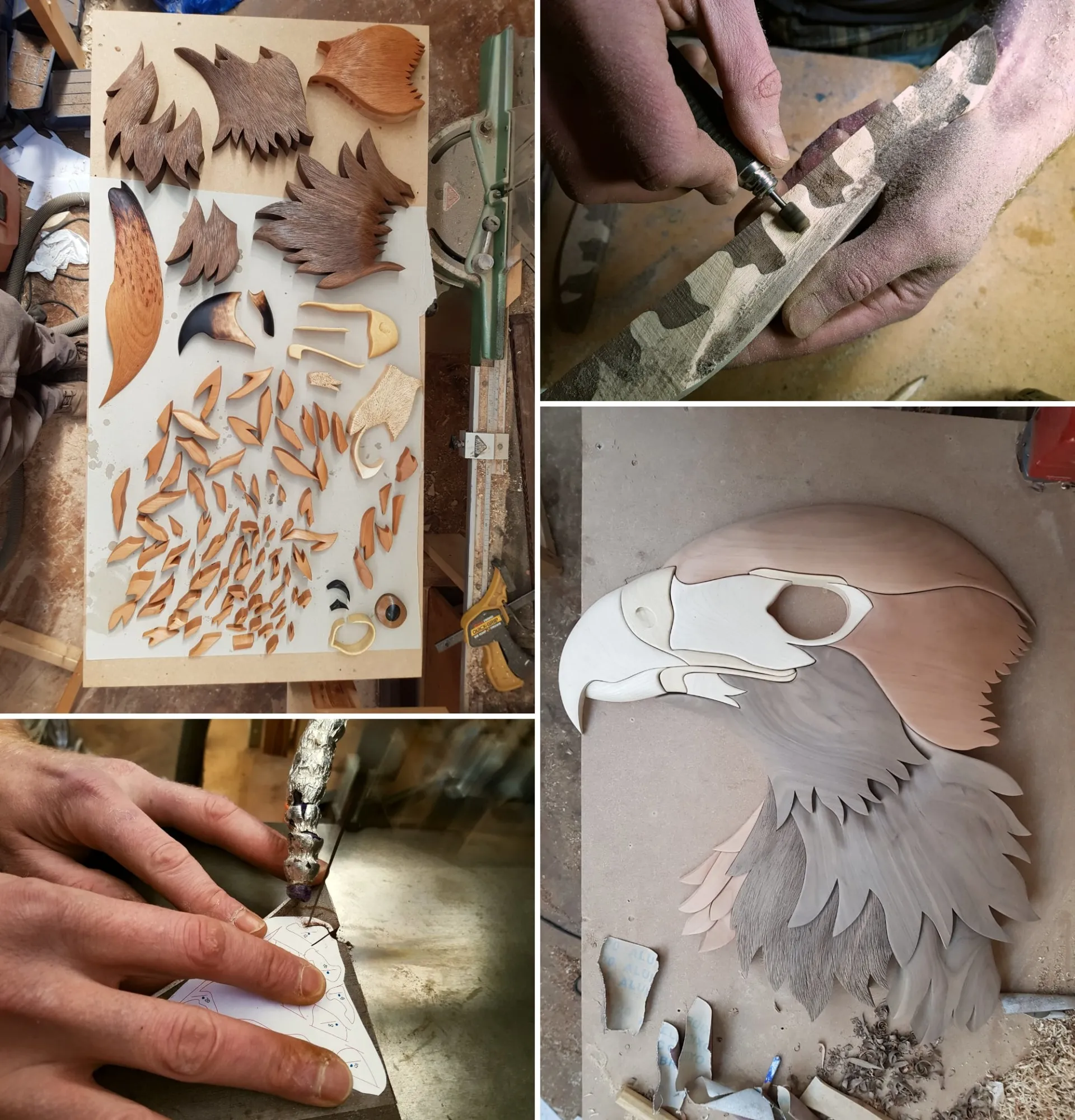 Des bustes d'oiseaux en intarsia Des bustes d oiseaux en intarsia sculpture bois puzzle 6 Des-bustes-d-oiseaux-en-intarsia-sculpture-bois-puzzle-6