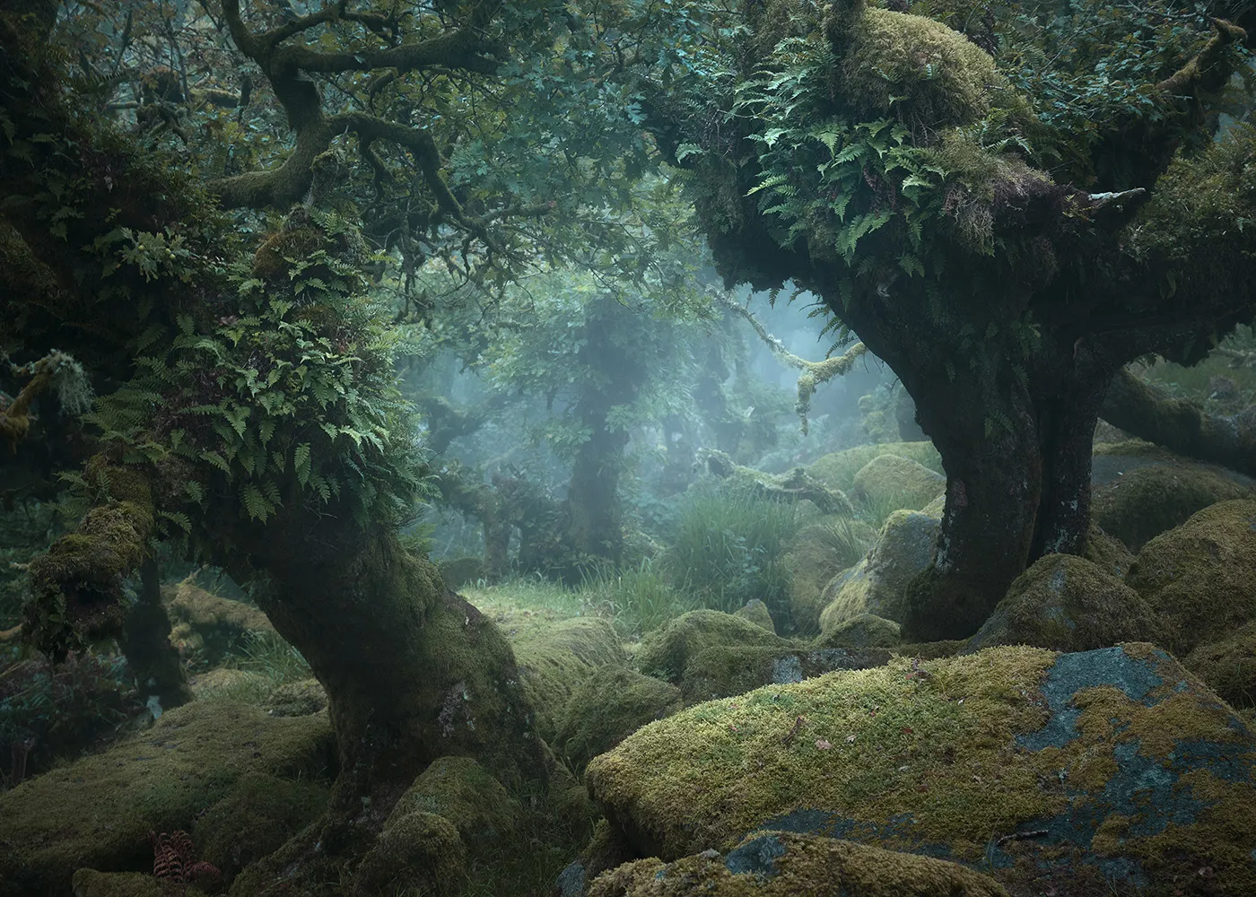 Le bois de Wistman, une forêt de conte de fée Le bois de Wistman une foret de conte de fee angleterre magie nature 10 Le-bois-de-Wistman-une-foret-de-conte-de-fee-angleterre-magie-nature-10