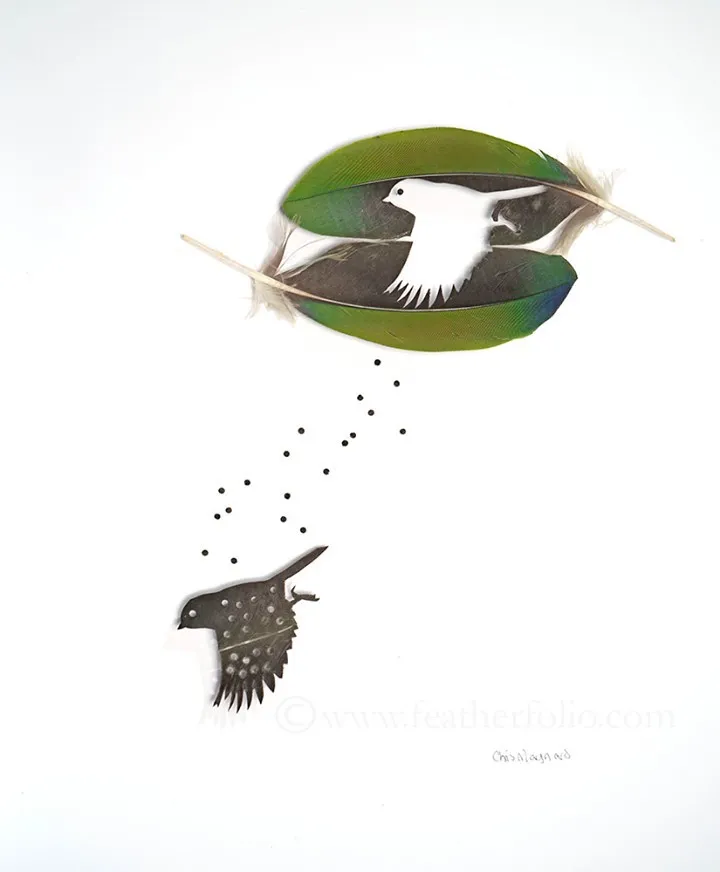 Les étonnantes sculptures de plumes découpées de Chris Maynard Les etonnantes sculptures de plumes decoupees de Chris Maynard 15 Les-etonnantes-sculptures-de-plumes-decoupees-de-Chris-Maynard-15