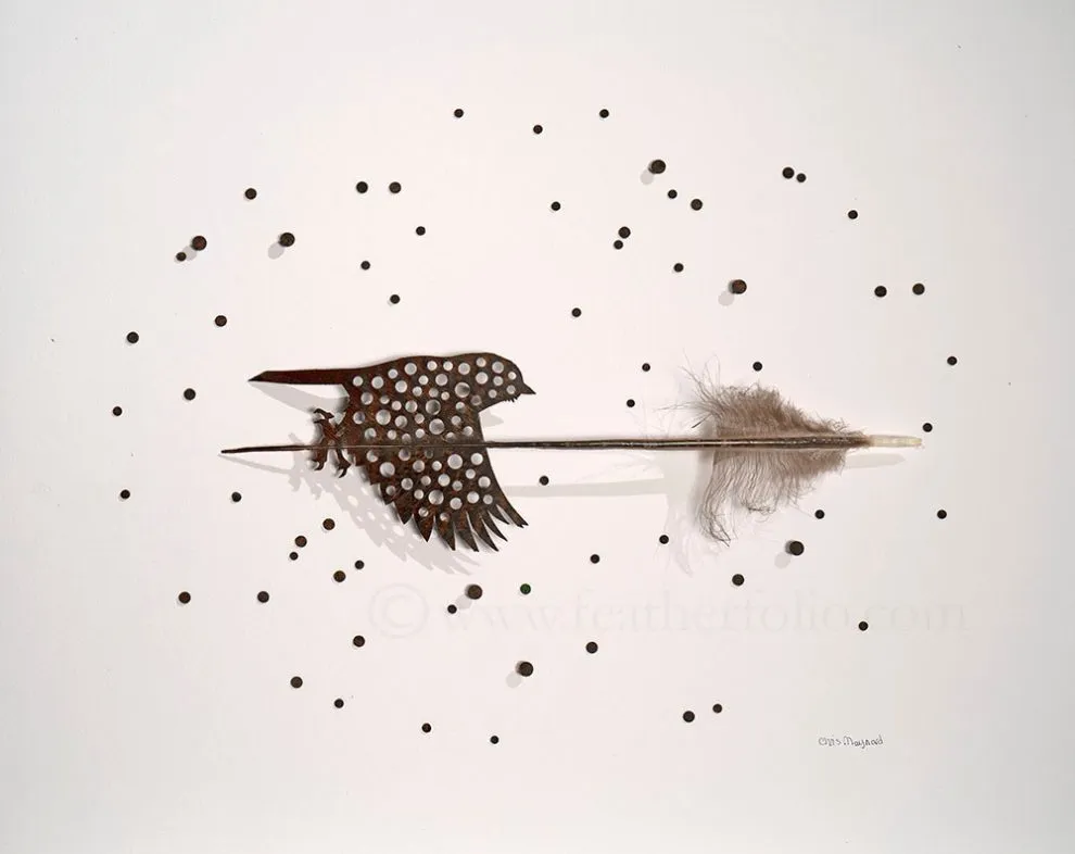 Les étonnantes sculptures de plumes découpées de Chris Maynard Les etonnantes sculptures de plumes decoupees de Chris Maynard 17 Les-etonnantes-sculptures-de-plumes-decoupees-de-Chris-Maynard-17