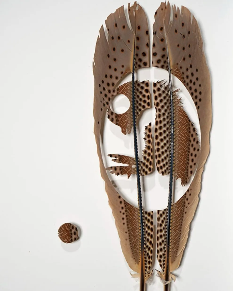 Les étonnantes sculptures de plumes découpées de Chris Maynard Les etonnantes sculptures de plumes decoupees de Chris Maynard 19 Les-etonnantes-sculptures-de-plumes-decoupees-de-Chris-Maynard-19