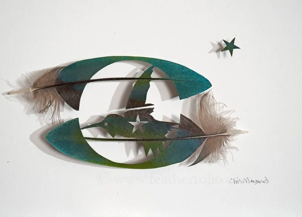 Les étonnantes sculptures de plumes découpées de Chris Maynard Les etonnantes sculptures de plumes decoupees de Chris Maynard 22 Les-etonnantes-sculptures-de-plumes-decoupees-de-Chris-Maynard-22