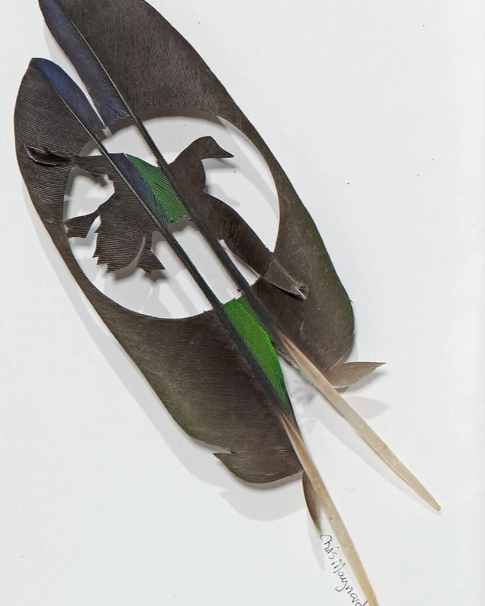 Les étonnantes sculptures de plumes découpées de Chris Maynard Les etonnantes sculptures de plumes decoupees de Chris Maynard 23 Les-etonnantes-sculptures-de-plumes-decoupees-de-Chris-Maynard-23