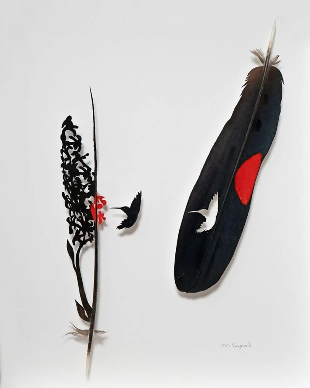 Les étonnantes sculptures de plumes découpées de Chris Maynard Les etonnantes sculptures de plumes decoupees de Chris Maynard 25 Les-etonnantes-sculptures-de-plumes-decoupees-de-Chris-Maynard-25