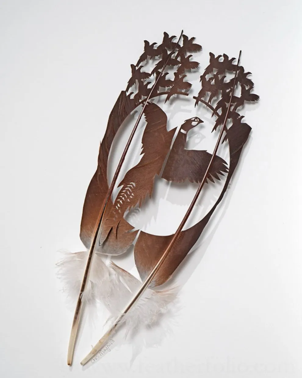 Les étonnantes sculptures de plumes découpées de Chris Maynard Les etonnantes sculptures de plumes decoupees de Chris Maynard 26 Les-etonnantes-sculptures-de-plumes-decoupees-de-Chris-Maynard-26