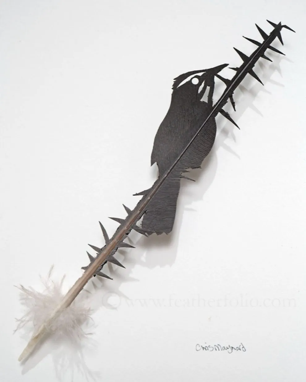 Les étonnantes sculptures de plumes découpées de Chris Maynard Les etonnantes sculptures de plumes decoupees de Chris Maynard 28 Les-etonnantes-sculptures-de-plumes-decoupees-de-Chris-Maynard-28