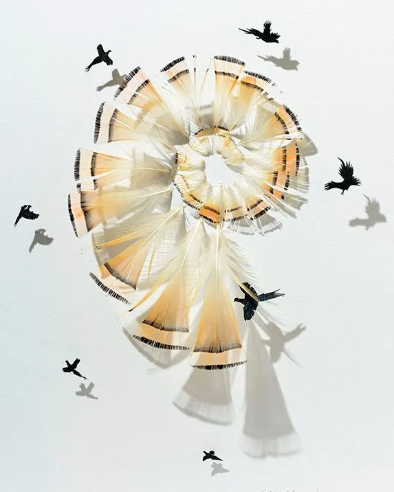 Les étonnantes sculptures de plumes découpées de Chris Maynard Les etonnantes sculptures de plumes decoupees de Chris Maynard 29 Les-etonnantes-sculptures-de-plumes-decoupees-de-Chris-Maynard-29