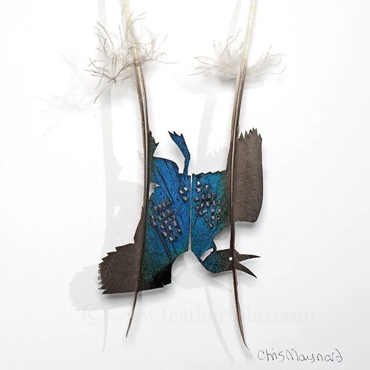 Les étonnantes sculptures de plumes découpées de Chris Maynard Les etonnantes sculptures de plumes decoupees de Chris Maynard 30 Les-etonnantes-sculptures-de-plumes-decoupees-de-Chris-Maynard-30