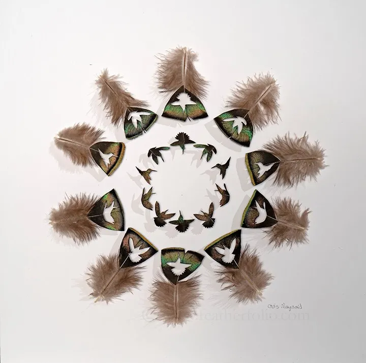 Les étonnantes sculptures de plumes découpées de Chris Maynard Les etonnantes sculptures de plumes decoupees de Chris Maynard 5 Les-etonnantes-sculptures-de-plumes-decoupees-de-Chris-Maynard-5