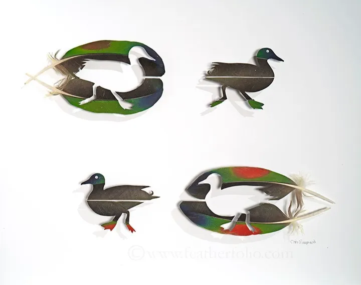 Les étonnantes sculptures de plumes découpées de Chris Maynard Les etonnantes sculptures de plumes decoupees de Chris Maynard 6 Les-etonnantes-sculptures-de-plumes-decoupees-de-Chris-Maynard-6