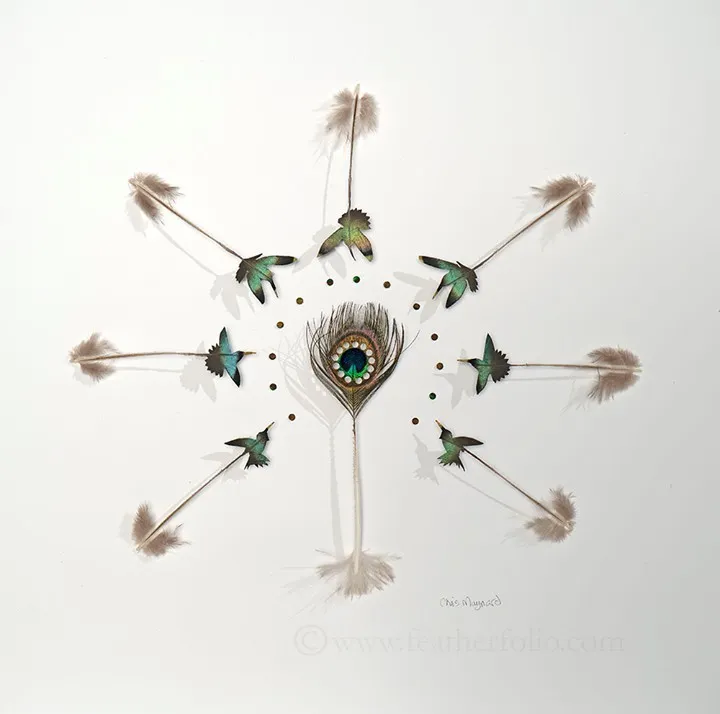 Les étonnantes sculptures de plumes découpées de Chris Maynard Les etonnantes sculptures de plumes decoupees de Chris Maynard 7 Les-etonnantes-sculptures-de-plumes-decoupees-de-Chris-Maynard-7