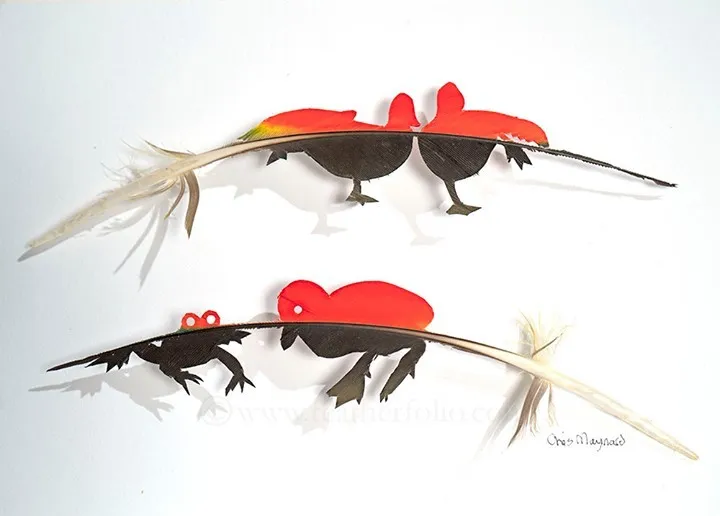 Les étonnantes sculptures de plumes découpées de Chris Maynard Les etonnantes sculptures de plumes decoupees de Chris Maynard 8 Les-etonnantes-sculptures-de-plumes-decoupees-de-Chris-Maynard-8