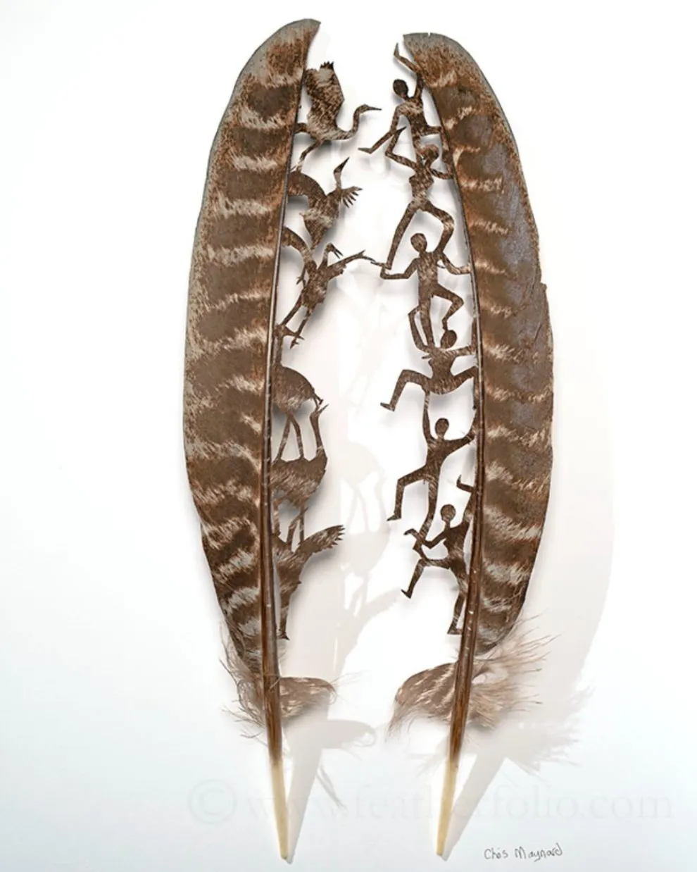 Les étonnantes sculptures de plumes découpées de Chris Maynard Les etonnantes sculptures de plumes decoupees de Chris Maynard 9 Les-etonnantes-sculptures-de-plumes-decoupees-de-Chris-Maynard-9