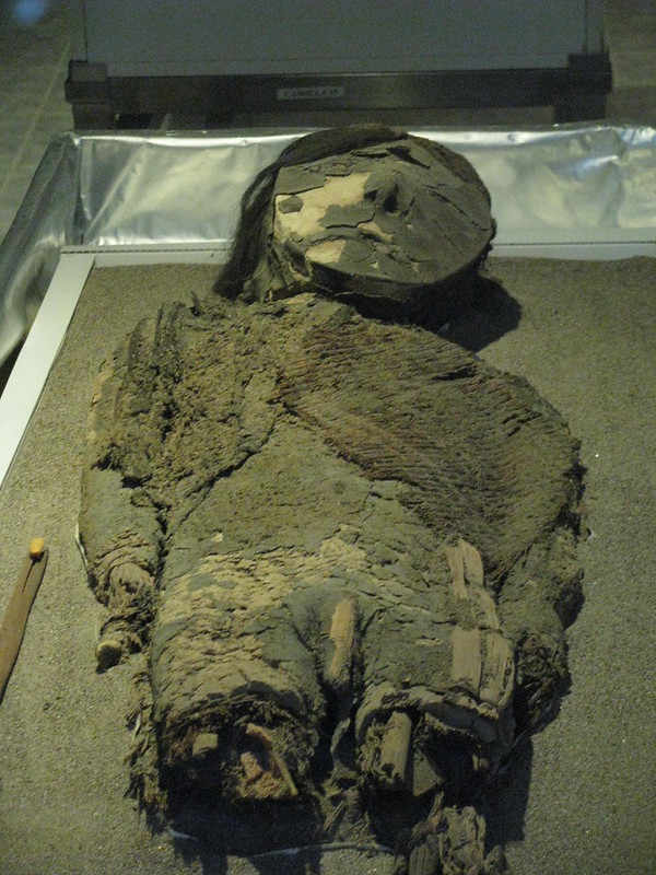 Les momies Chinchorro, les plus anciennes momies du monde Les momies Chinchorro les plus anciennes momies du monde atacama perou chili 2 Les-momies-Chinchorro-les-plus-anciennes-momies-du-monde-atacama-perou-chili-2