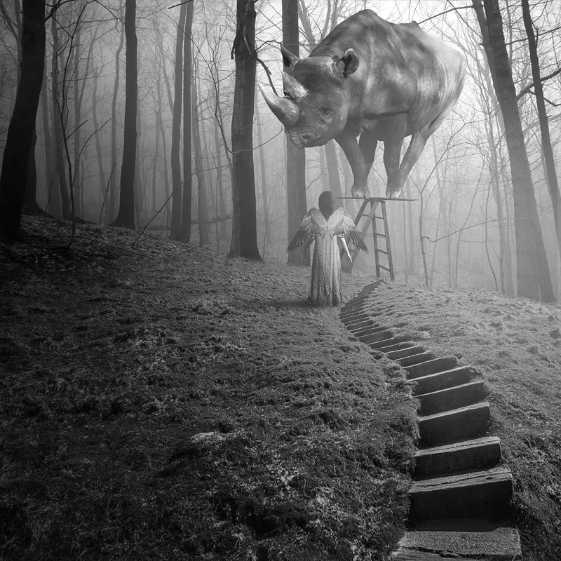 Les rêves surréalistes de Tomasz Zaczeniuk Les reves surrealistes de Tomasz Zaczeniuk 10 Les-reves-surrealistes-de-Tomasz-Zaczeniuk-10