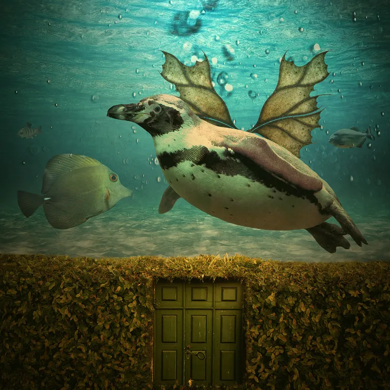 Les rêves surréalistes de Tomasz Zaczeniuk Les reves surrealistes de Tomasz Zaczeniuk 12 Les-reves-surrealistes-de-Tomasz-Zaczeniuk-12