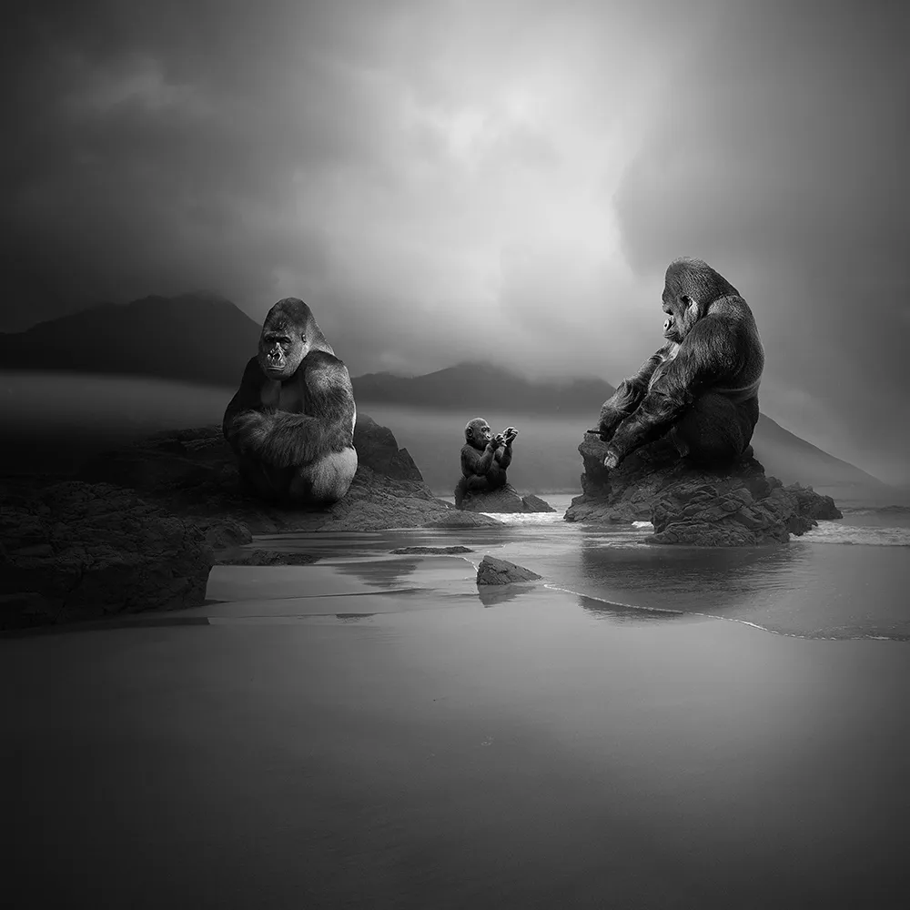 Les rêves surréalistes de Tomasz Zaczeniuk Les reves surrealistes de Tomasz Zaczeniuk 13 Les-reves-surrealistes-de-Tomasz-Zaczeniuk-13