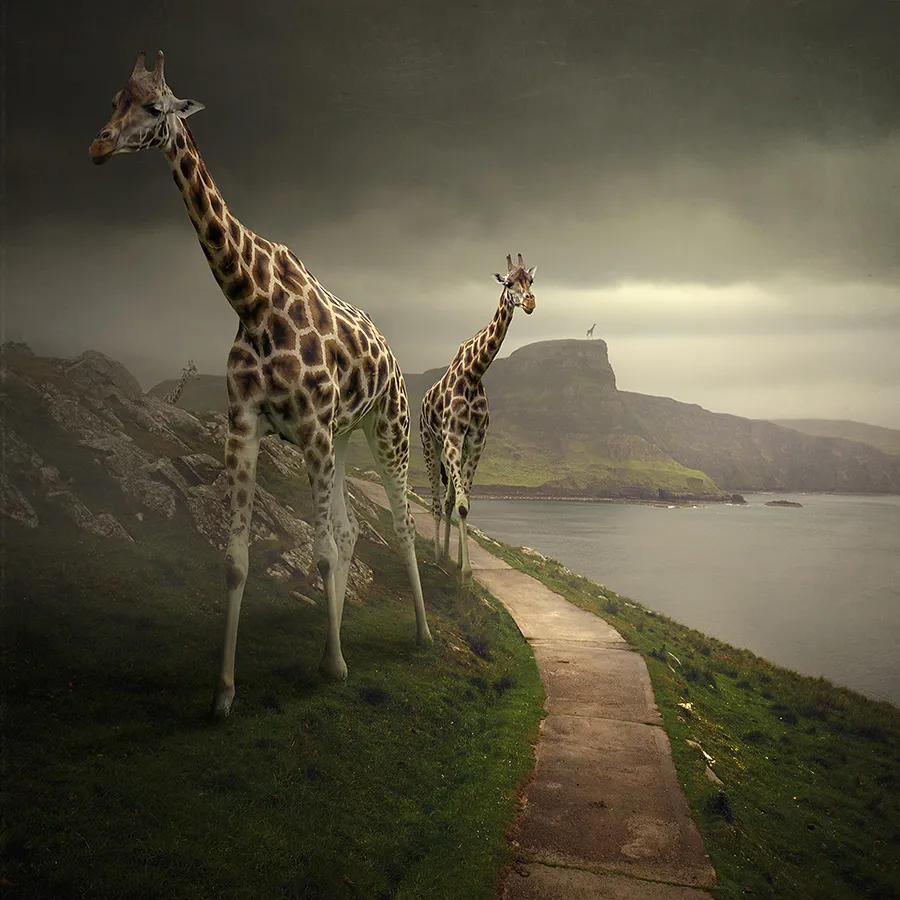 Les rêves surréalistes de Tomasz Zaczeniuk Les reves surrealistes de Tomasz Zaczeniuk 16 Les-reves-surrealistes-de-Tomasz-Zaczeniuk-16