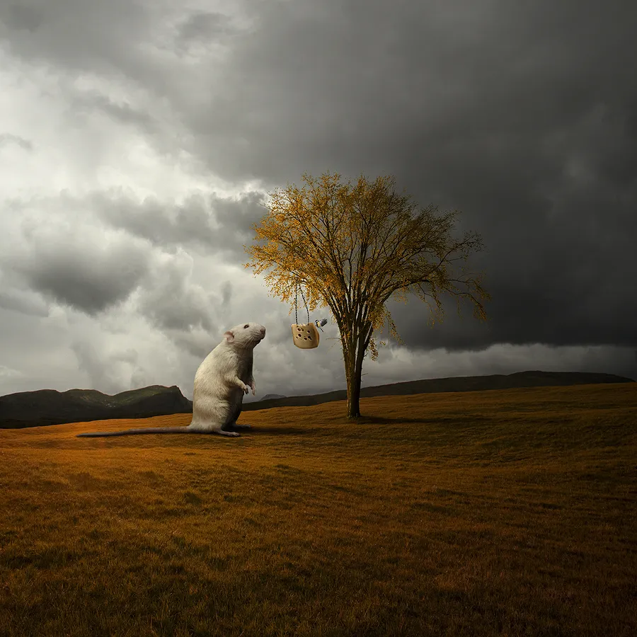 Les rêves surréalistes de Tomasz Zaczeniuk Les reves surrealistes de Tomasz Zaczeniuk 18 Les-reves-surrealistes-de-Tomasz-Zaczeniuk-18