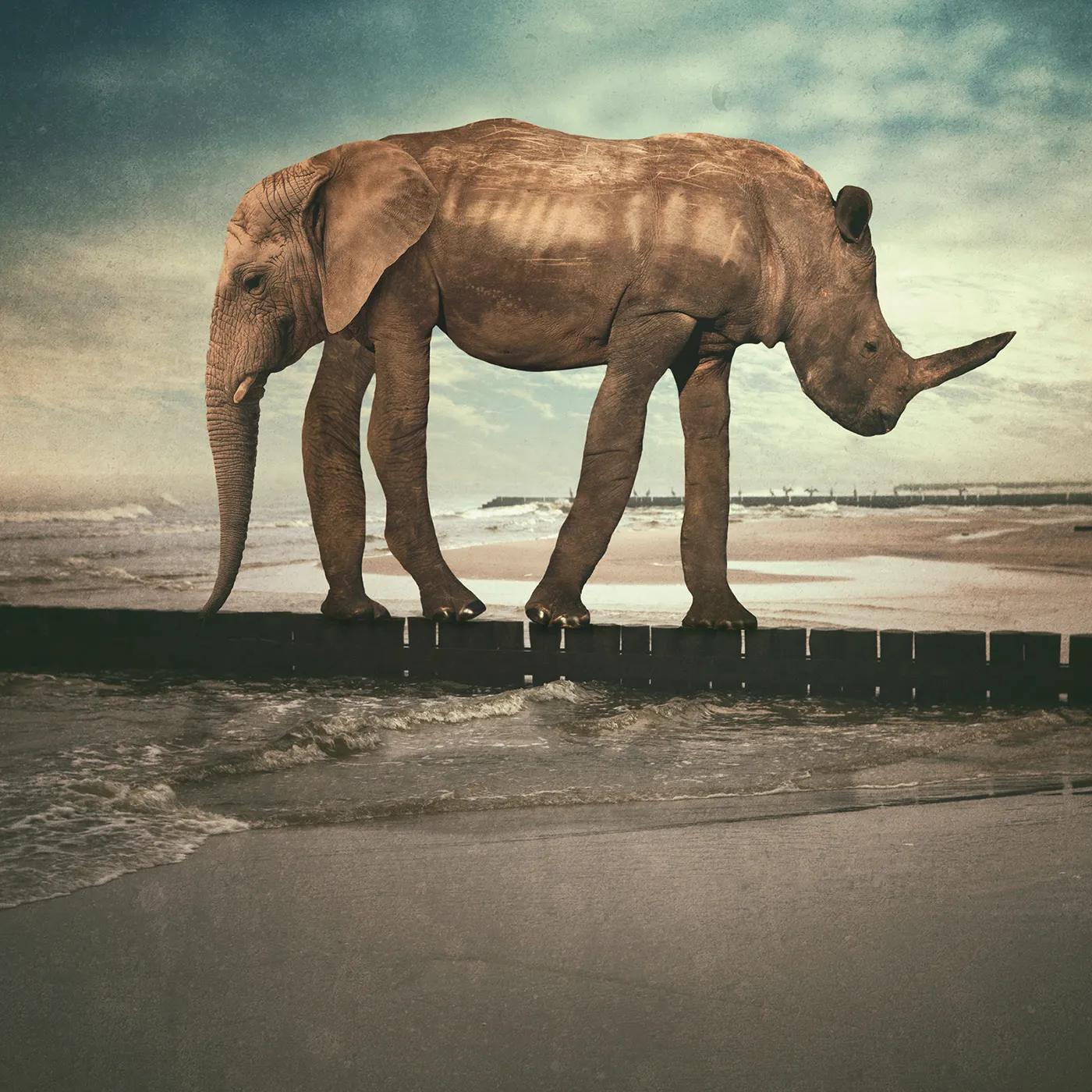 Les rêves surréalistes de Tomasz Zaczeniuk Les reves surrealistes de Tomasz Zaczeniuk 24 Les-reves-surrealistes-de-Tomasz-Zaczeniuk-24