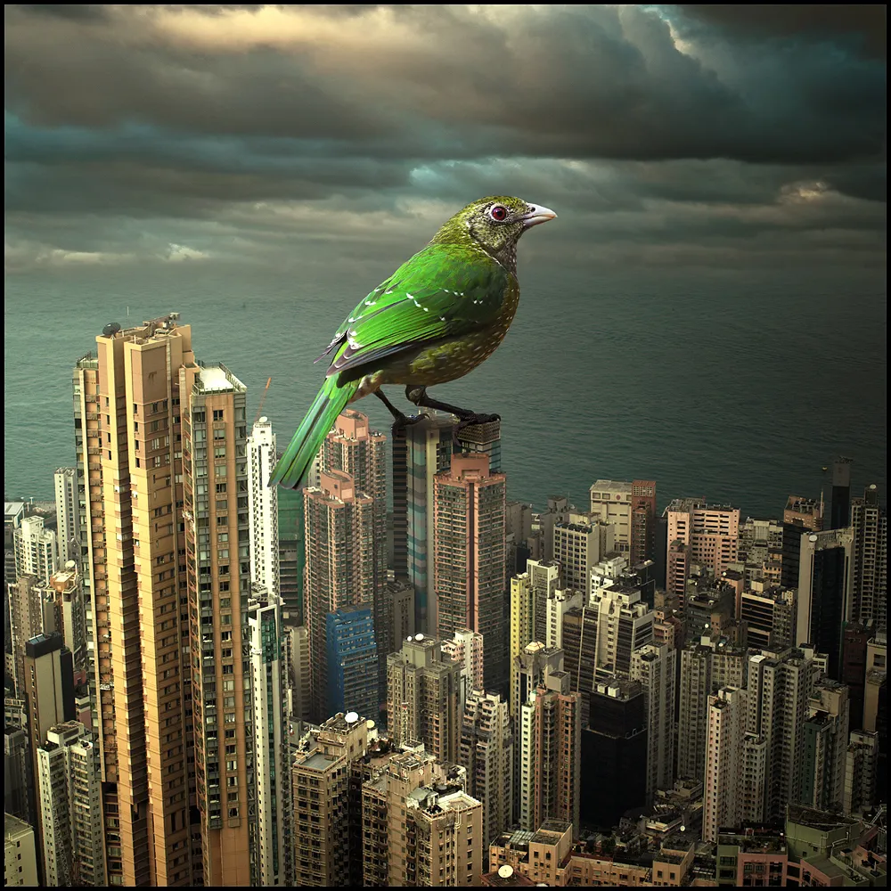 Les rêves surréalistes de Tomasz Zaczeniuk Les reves surrealistes de Tomasz Zaczeniuk 26 Les-reves-surrealistes-de-Tomasz-Zaczeniuk-26