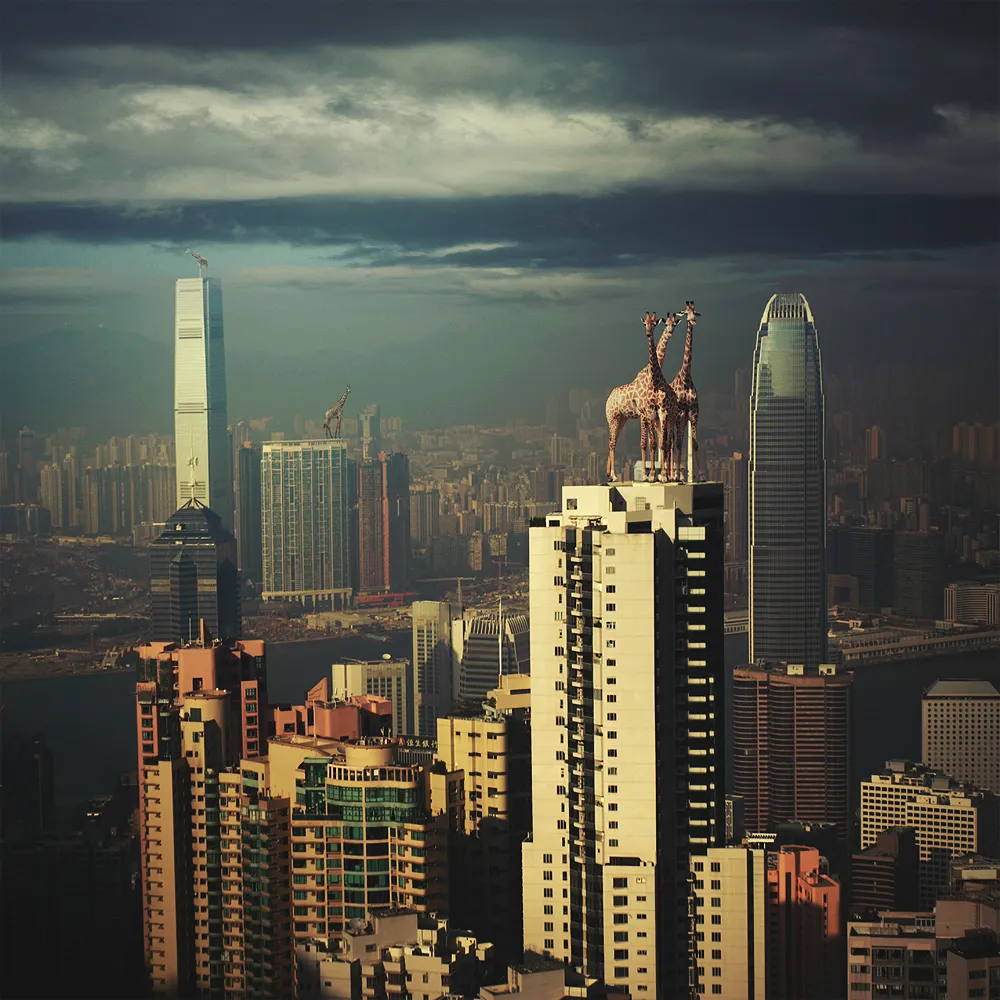 Les rêves surréalistes de Tomasz Zaczeniuk Les reves surrealistes de Tomasz Zaczeniuk 27 Les-reves-surrealistes-de-Tomasz-Zaczeniuk-27