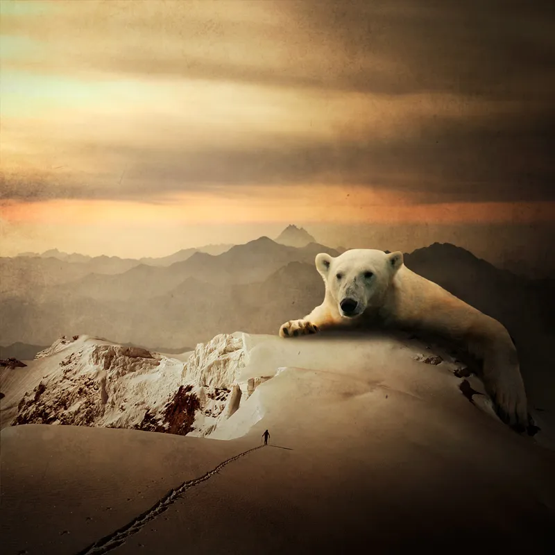 Les rêves surréalistes de Tomasz Zaczeniuk Les reves surrealistes de Tomasz Zaczeniuk 5 Les-reves-surrealistes-de-Tomasz-Zaczeniuk-5