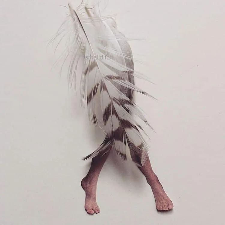 Des mélanges humoristiques d'objets et de jambes de magazine des melanges humoristiques d objets et de jambes de magazine 1 martha haversham collages 4 des-melanges-humoristiques-d-objets-et-de-jambes-de-magazine-1-martha-haversham-collages-4