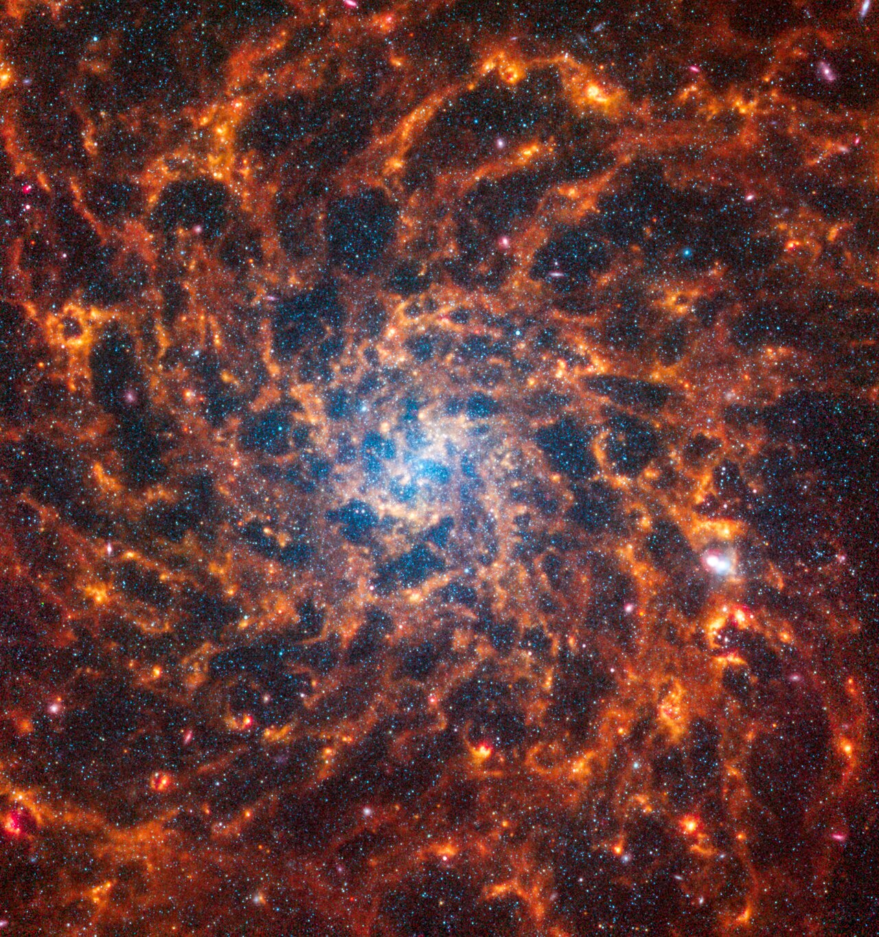 ic 5332 galaxie spirale james webb Galaxie spirale IC 5332 observée de face par James Webb