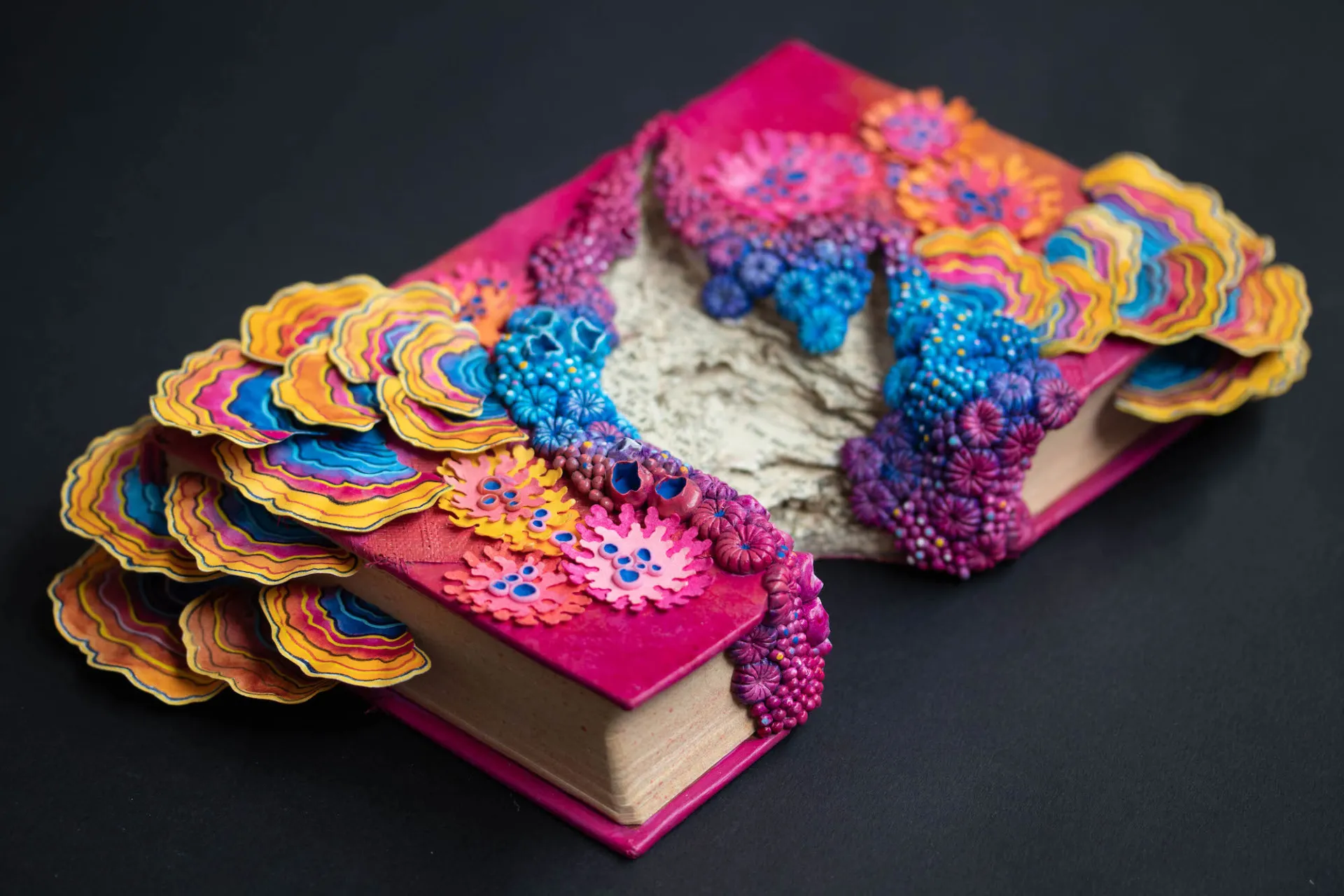 Des coraux et des champignons dans des livres Des coraux et des champignons dans des livres recyclage stephanie kilgast 5 Des-coraux-et-des-champignons-dans-des-livres-recyclage-stephanie-kilgast-5