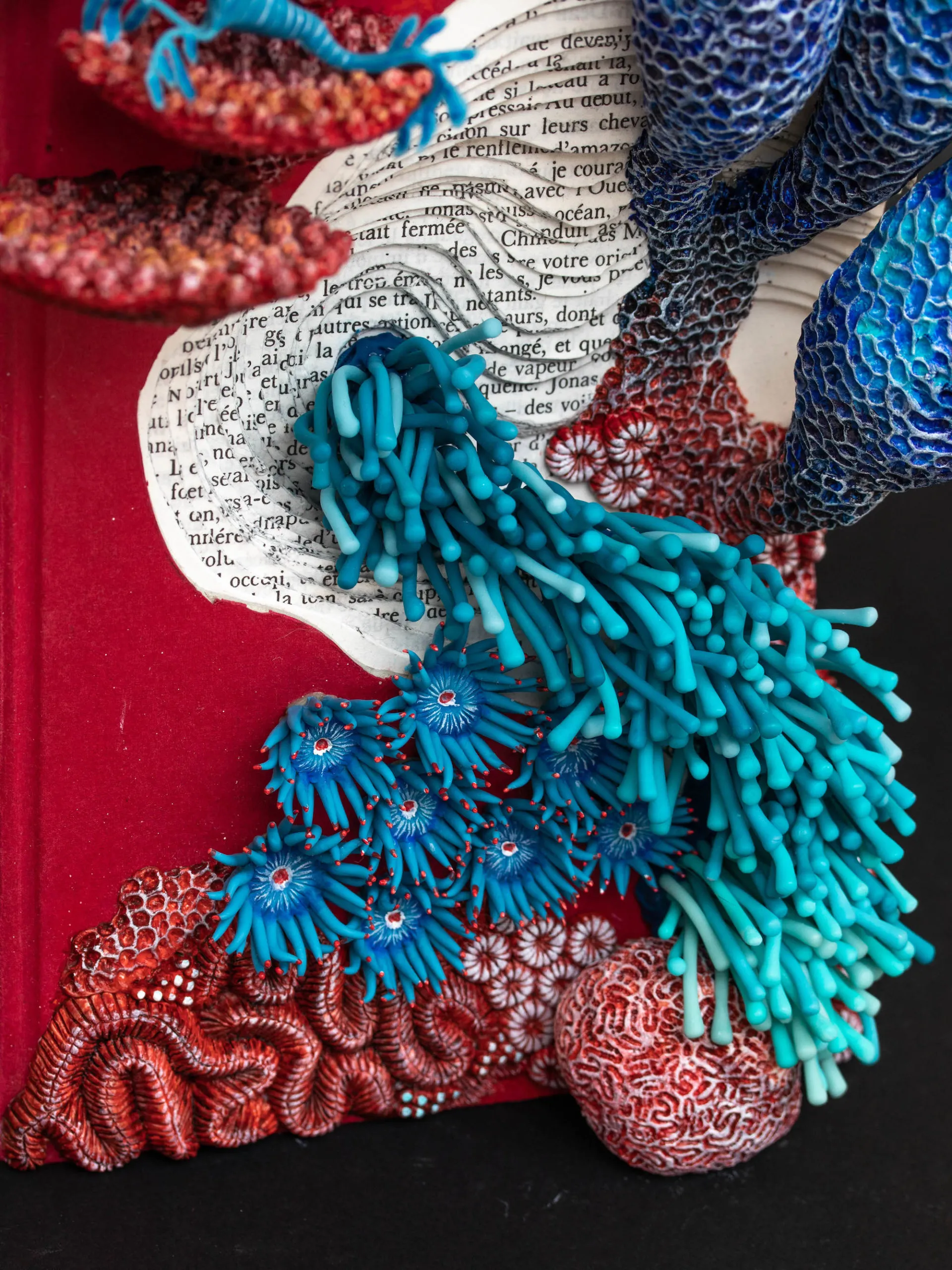 Des coraux et des champignons dans des livres Des coraux et des champignons dans des livres recyclage stephanie kilgast 8 Des-coraux-et-des-champignons-dans-des-livres-recyclage-stephanie-kilgast-9