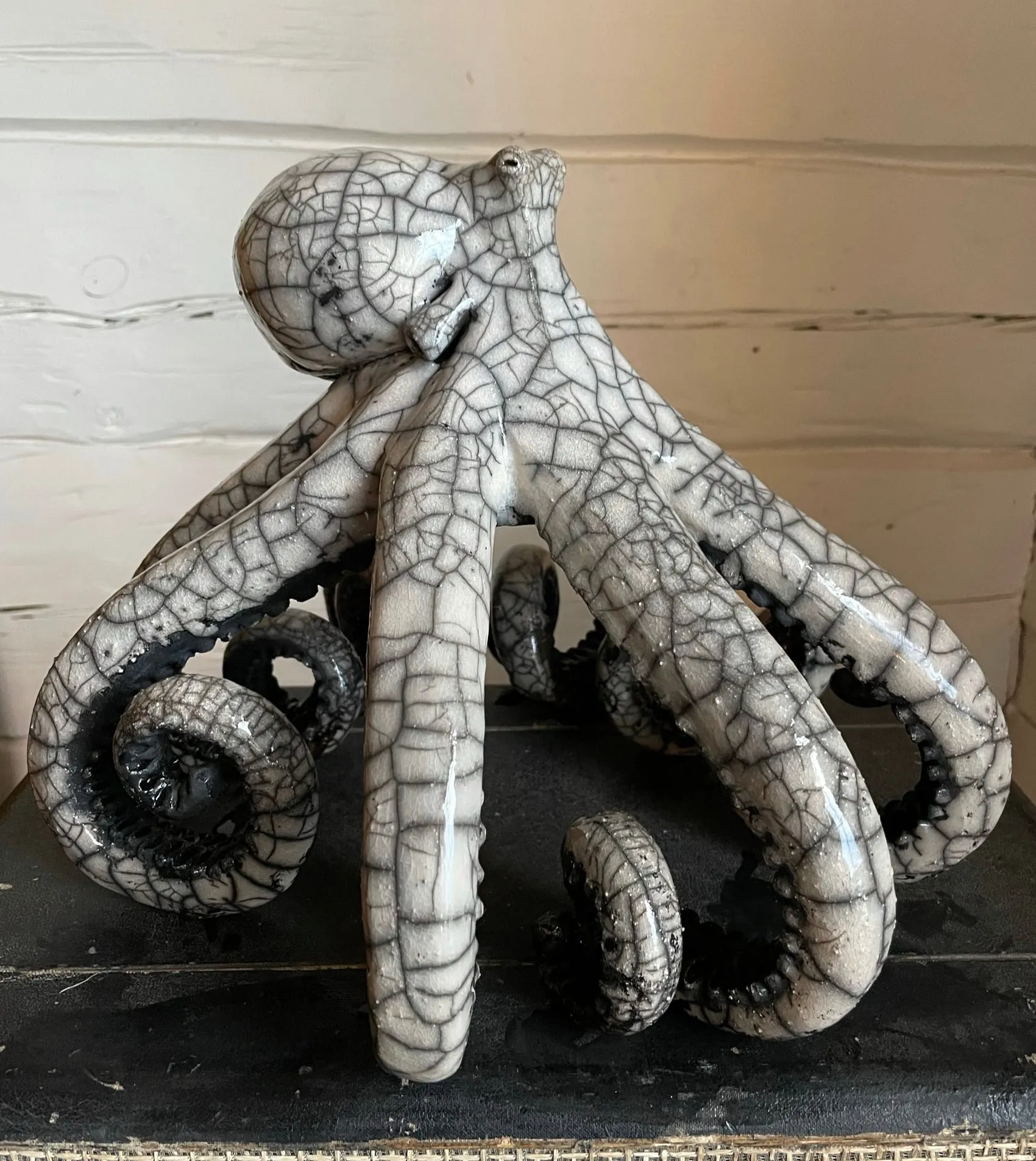 Les pieuvres en céramique de Mia Alajasko Les pieuvres en ceramique de Mia Alajasko 4 Les-pieuvres-en-ceramique-de-Mia-Alajasko-4