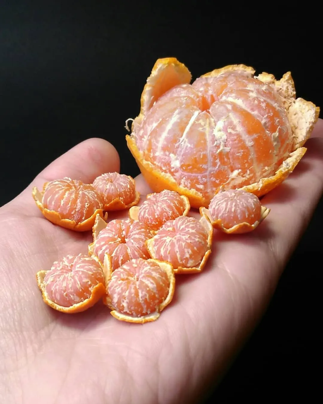 Des miniatures réalistes en argile des miniatures realistes en argile 13 mandarine des-miniatures-realistes-en-argile-13-mandarine