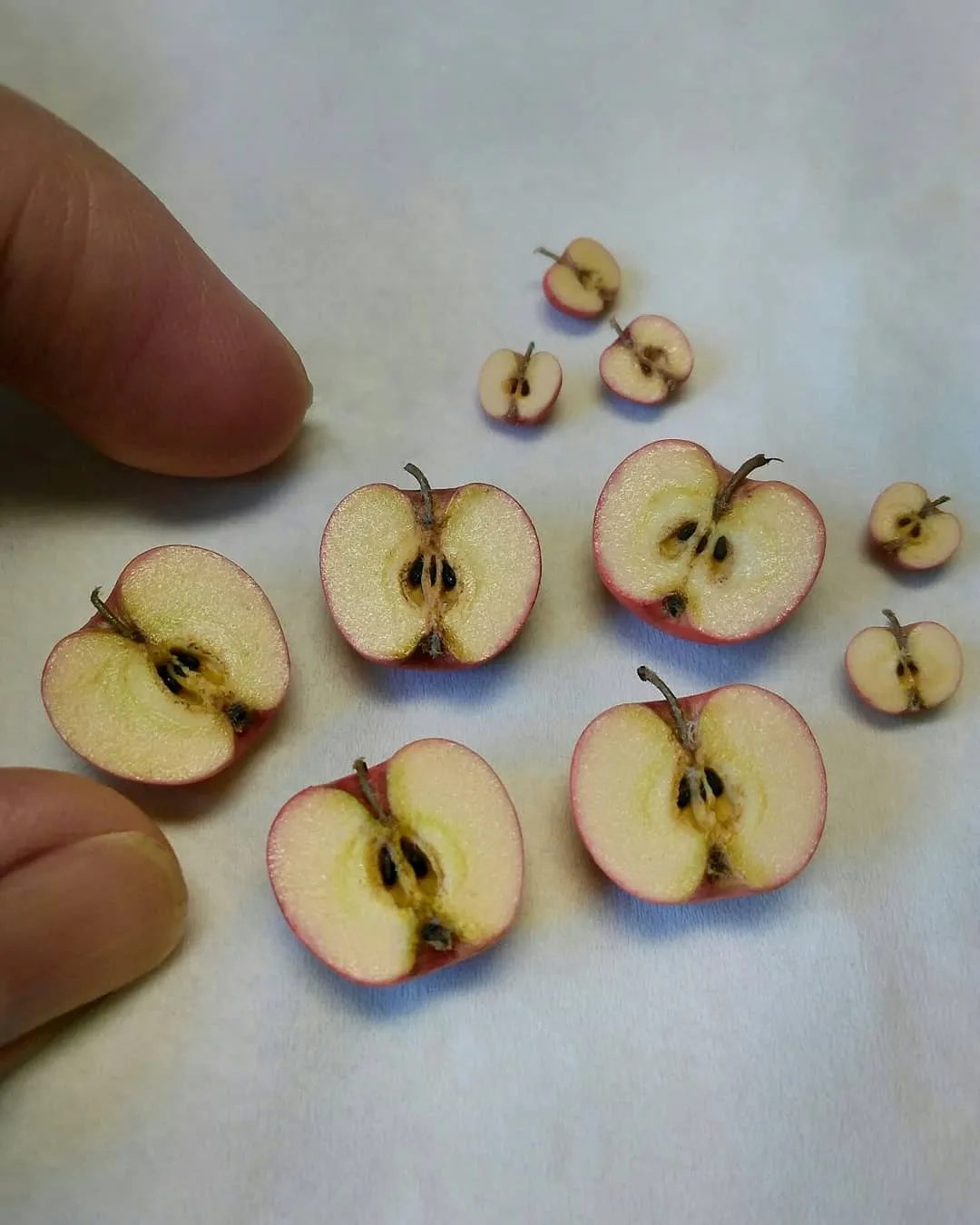 Des miniatures réalistes en argile des miniatures realistes en argile 18 pomme des-miniatures-realistes-en-argile-18-pomme