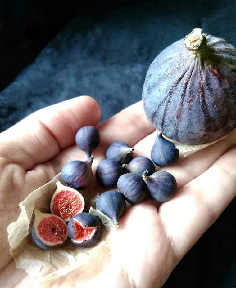 Des miniatures réalistes en argile des miniatures realistes en argile 22 figue des-miniatures-realistes-en-argile-22-figue.