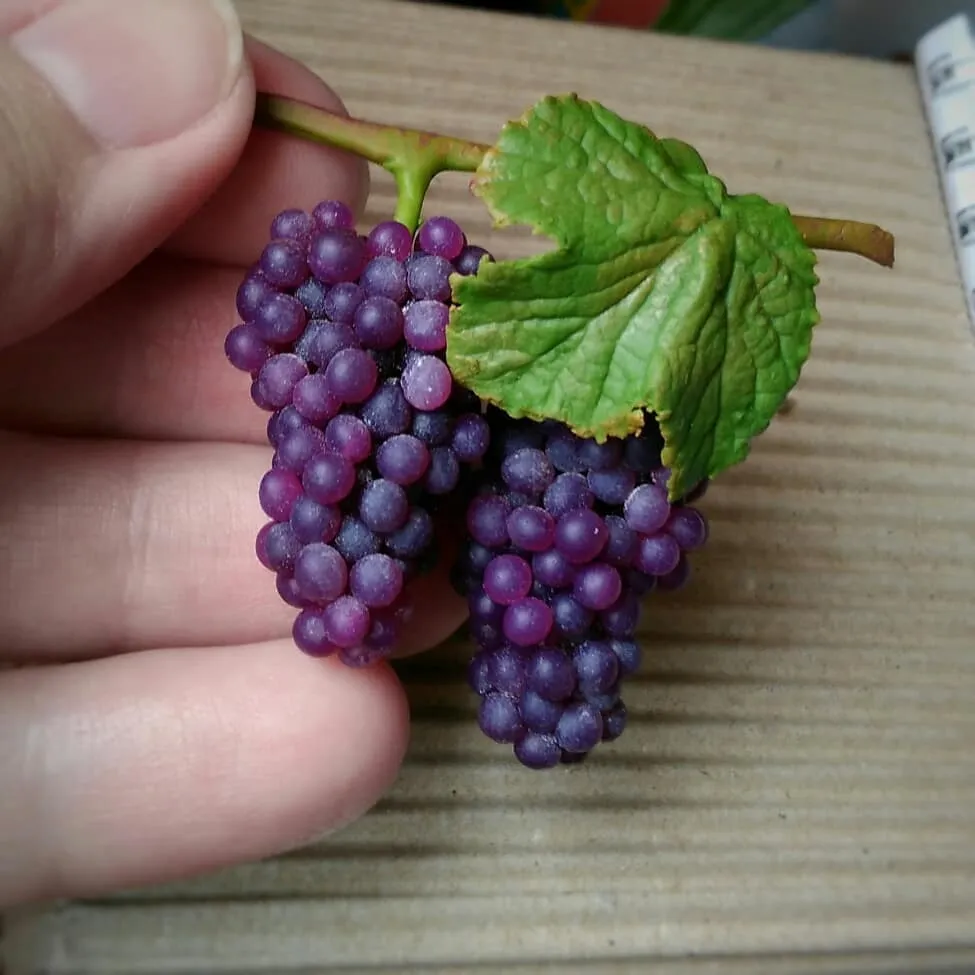 Des miniatures réalistes en argile des miniatures realistes en argile 7 raisin des-miniatures-realistes-en-argile-7-raisin