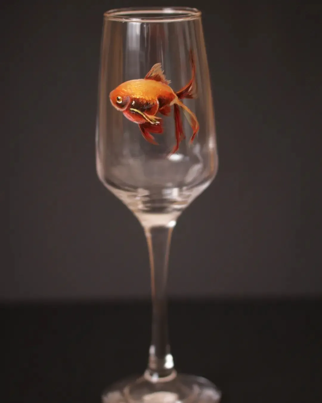 Des bocaux et des verres avec des peintures décoratives Des bocaux et des verres avec des peintures decoratives 5 poisson Des-bocaux-et-des-verres-avec-des-peintures-decoratives-5-poisson