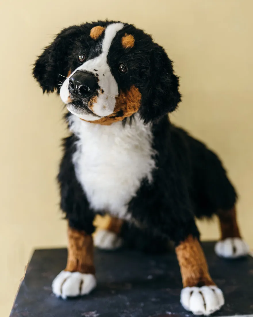 Des chiens en peluche de fausse fourrure très réalistes Des chiens en peluche de fausse fourrure tres realistes 16 Des-chiens-en-peluche-de-fausse-fourrure-tres-realistes-16