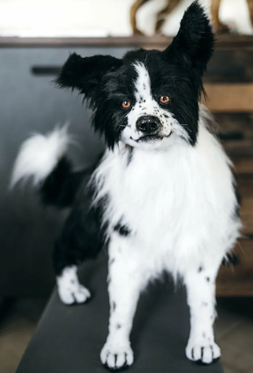 Des chiens en peluche de fausse fourrure très réalistes Des chiens en peluche de fausse fourrure tres realistes 4 Des-chiens-en-peluche-de-fausse-fourrure-tres-realistes-4