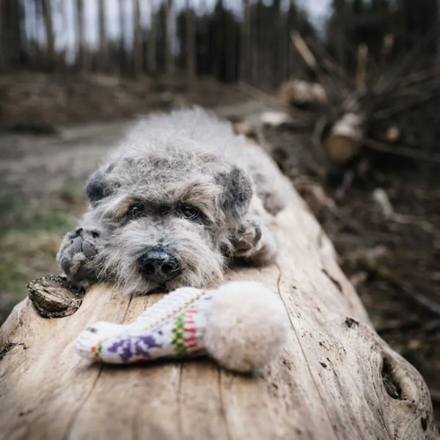 Des chiens en peluche de fausse fourrure très réalistes Des chiens en peluche de fausse fourrure tres realistes 5 Des-chiens-en-peluche-de-fausse-fourrure-tres-realistes-5