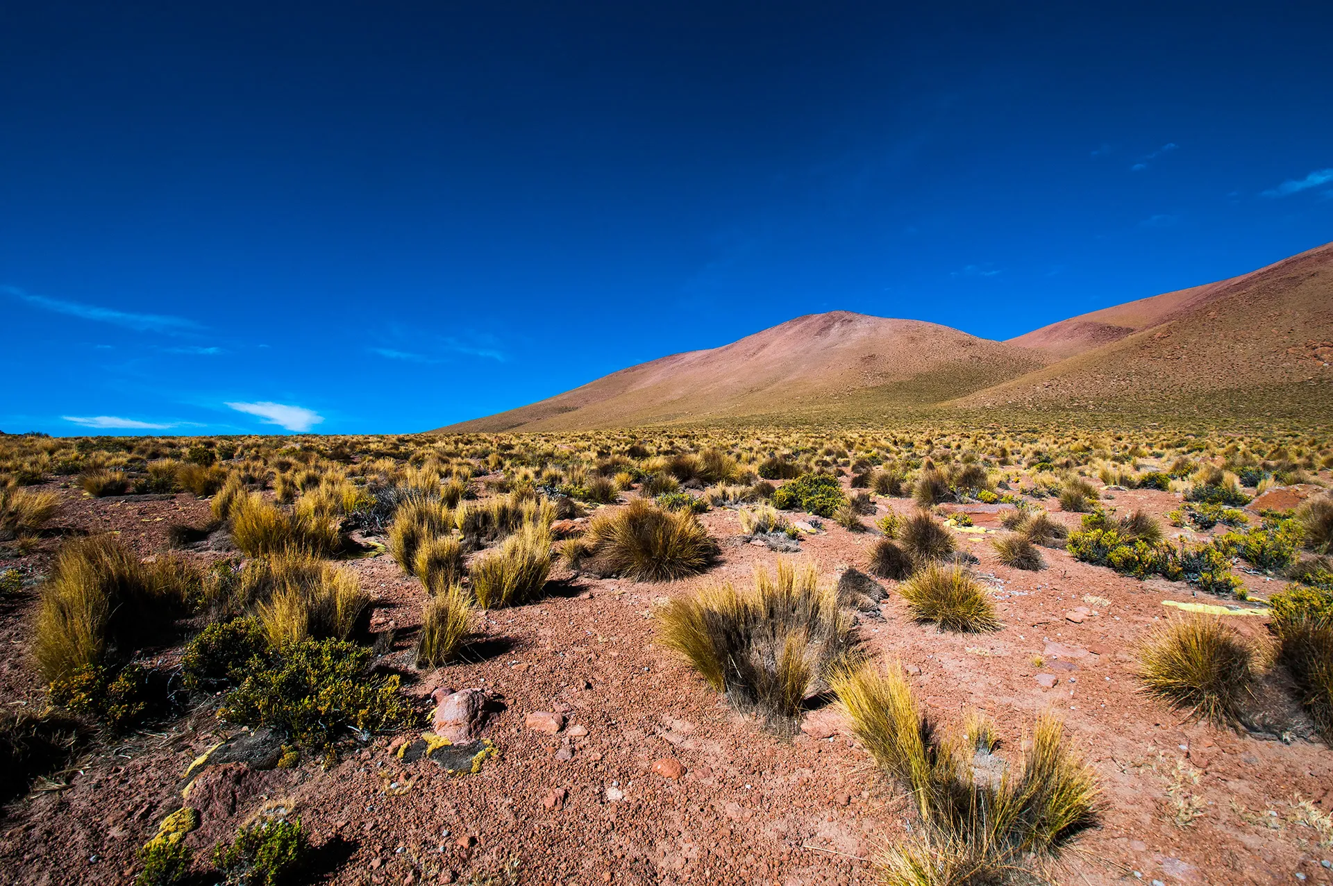 El espiritu del norte grande - le désert d'Atacama par Jennifer Esseiva El espiritu del norte grande le desert d Atacama par Jennifer Esseiva 4 El-espiritu-del-norte-grande-le-desert-d-Atacama-par-Jennifer-Esseiva-4