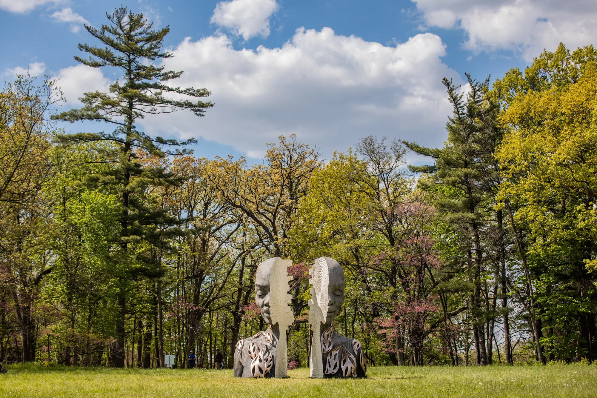 Les impressionnantes sculptures surréalistes de Daniel Popper les impressionnantes sculptures surrealistes de daniel popper Heartwood 15 les-impressionnantes-sculptures-surrealistes-de-daniel-popper-Heartwood-15.